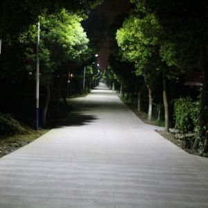 60W Solar Street Light with Ce&RoHS&amp; FCC Approved