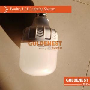 Poultry Farm LED Light for Broiler Shed