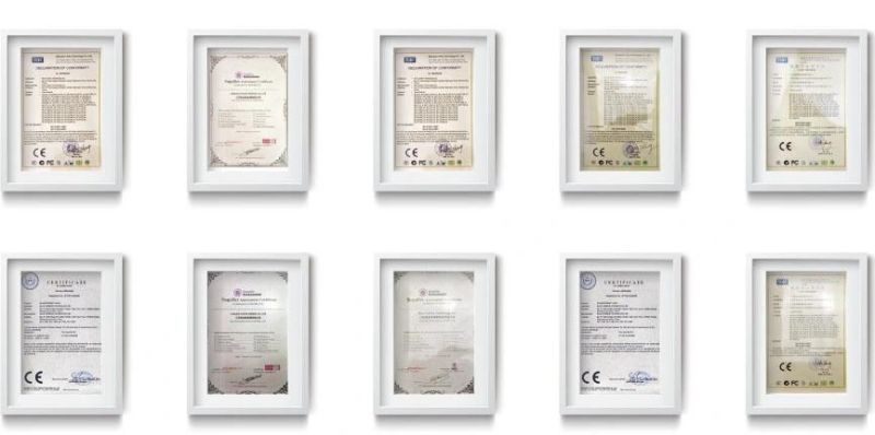 CE Certificated LED Solar Light for Road Outdoor Garden with LiFePO4