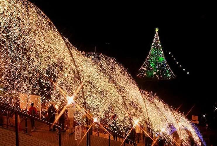 Weding Garden Decoration Garden Light Festivital Light LED Curtain Lights