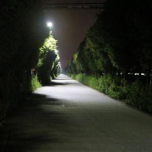 21W Street Solar Light for Village Projects