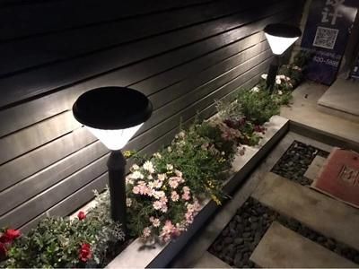 Garden Outdoor Lamp LiFePO4 Solar LED Landscape Light