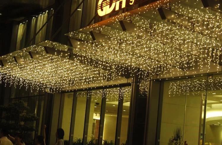 Weding Garden Decoration Garden Light Festivital Light LED Curtain Lights