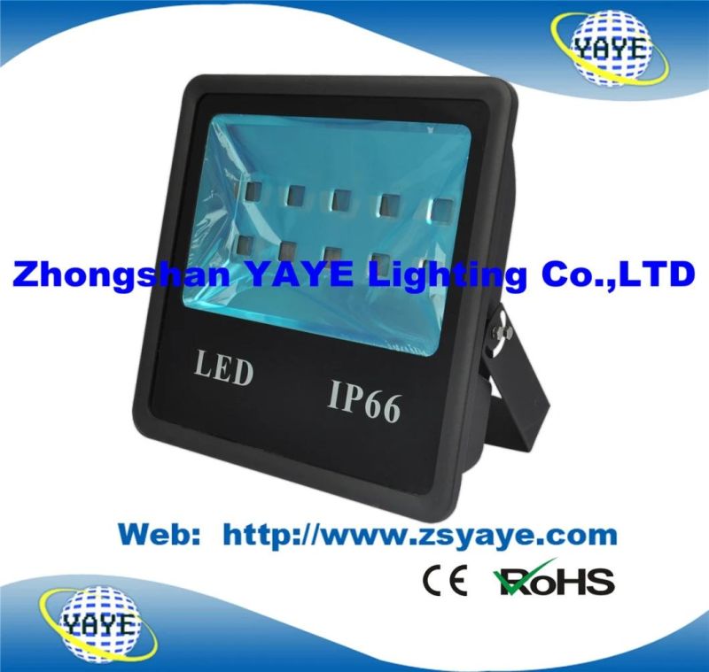 Yaye 18 Hot Sell Ce/RoHS 300W COB LED Flood Light/ COB LED Floodlight with 3/5 Years Warranty