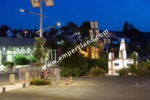 IP68 Ce&RoHS&FCC Listed 30W-200W Solar LED Street Light