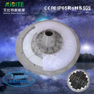 30W/20W Outdoor Solar LED Garden Light with Solar Panel