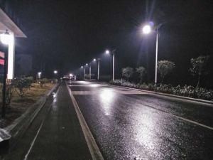 6m 30W IP68 Solar Street Light (DZS-06-30W)