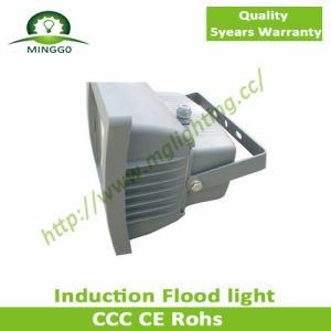 Ultra Bright 200W Induction LED Flood Light