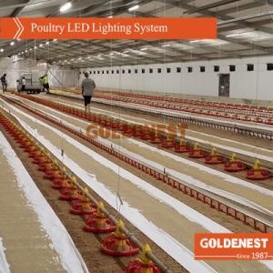 Poultry Farm LED Light for Poultry Shed