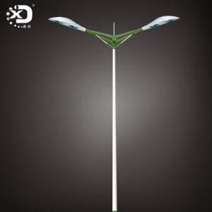 HPS Lamp with Doublr Arms