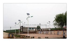 Customized Equal Diameter Pipe for Outdoor Lighting