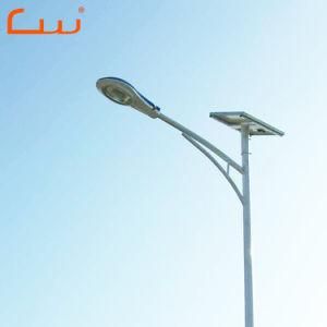 Yangzhou Supplier 30W 60W 100W Solar Panel Street Light