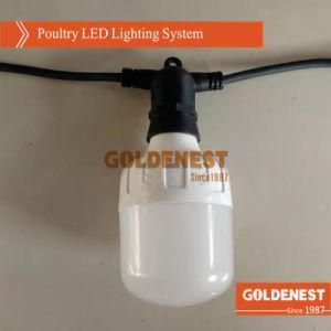 Egg Layer Farm LED Light for Poultry Shed