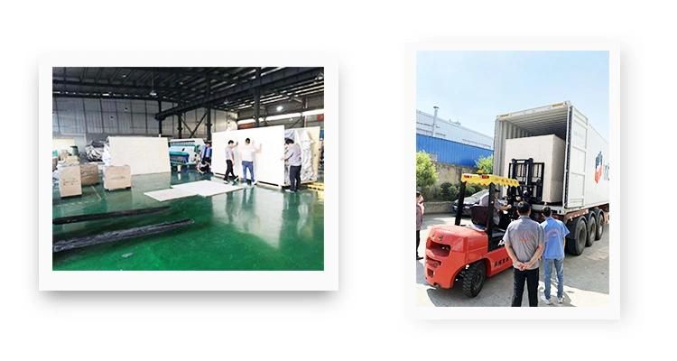 Belt Type Cashew Nut Colour Sorter Machine Nut Processing Machine
