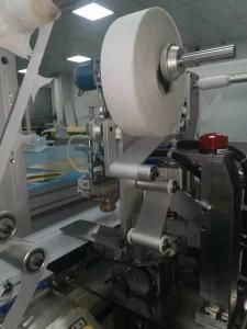 Quilting Machine / Shower Curtain Machine