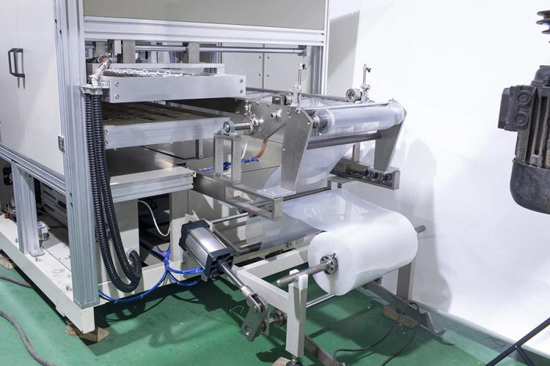 Automatic PP Plastic Clamshell Box Cup Lid Thermoforming Machine