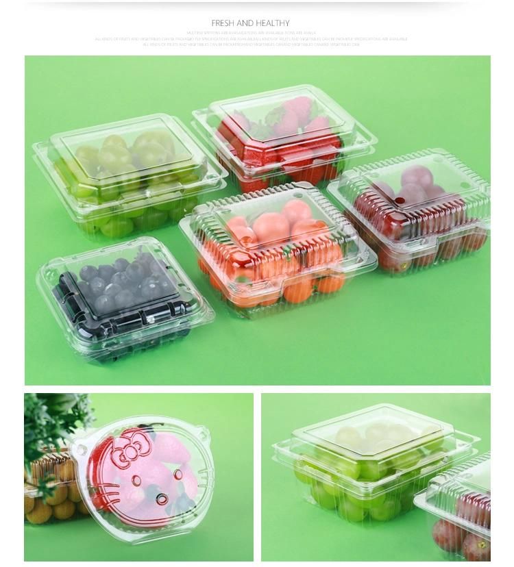 Milk Bubble Tea Cup Plastic Container Lid Making Machine