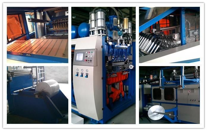PP/Pet/Coffee/Tea Cup Thermoforming Machine & Auto Stacker