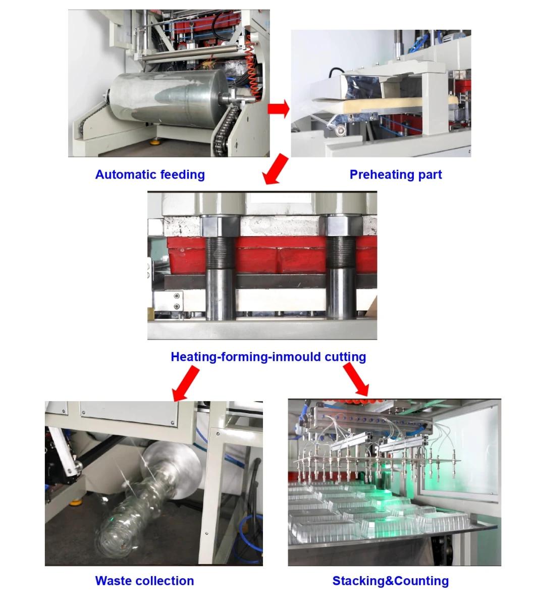 User-Friendly Plastic Egg Tray Thermoforming Machine for PS/BOPS/PVC/Pet Film