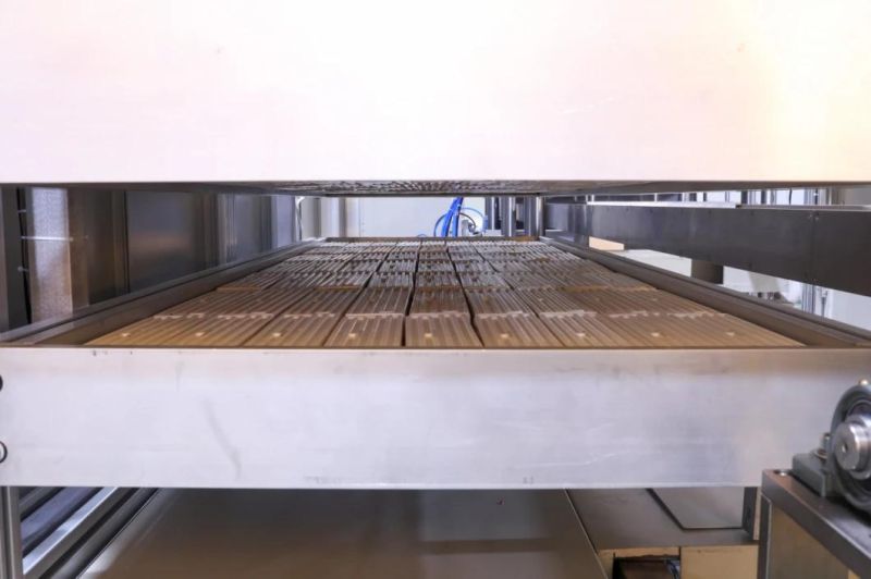 Automatic PP Plastic Clamshell Box Cup Lid Thermoforming Machine