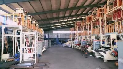 ABA Film Blowing Machine Set with Double Winders