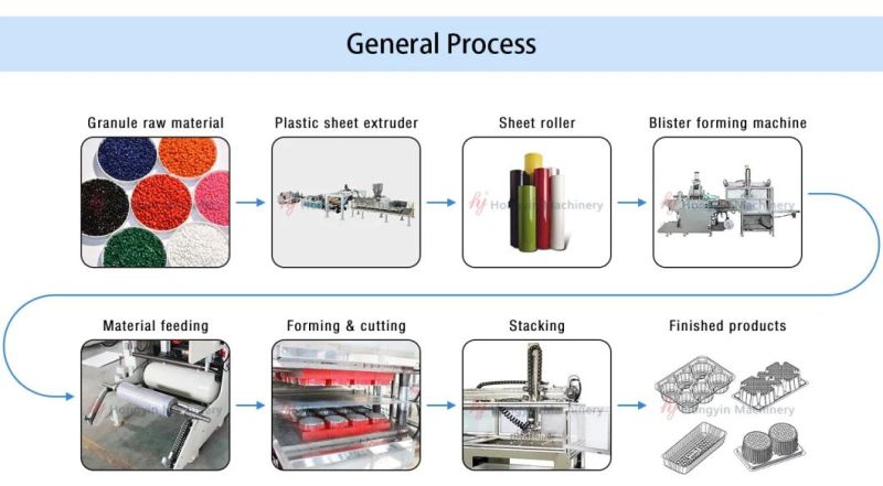 Plastic Thermoforming Machine Plastic BOPS Box Food Box Pet Tray Making Machine