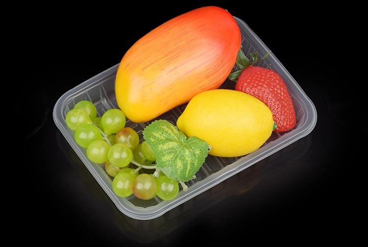 Pet PS PVC Cup Lid Food Lunch Box Making Machine