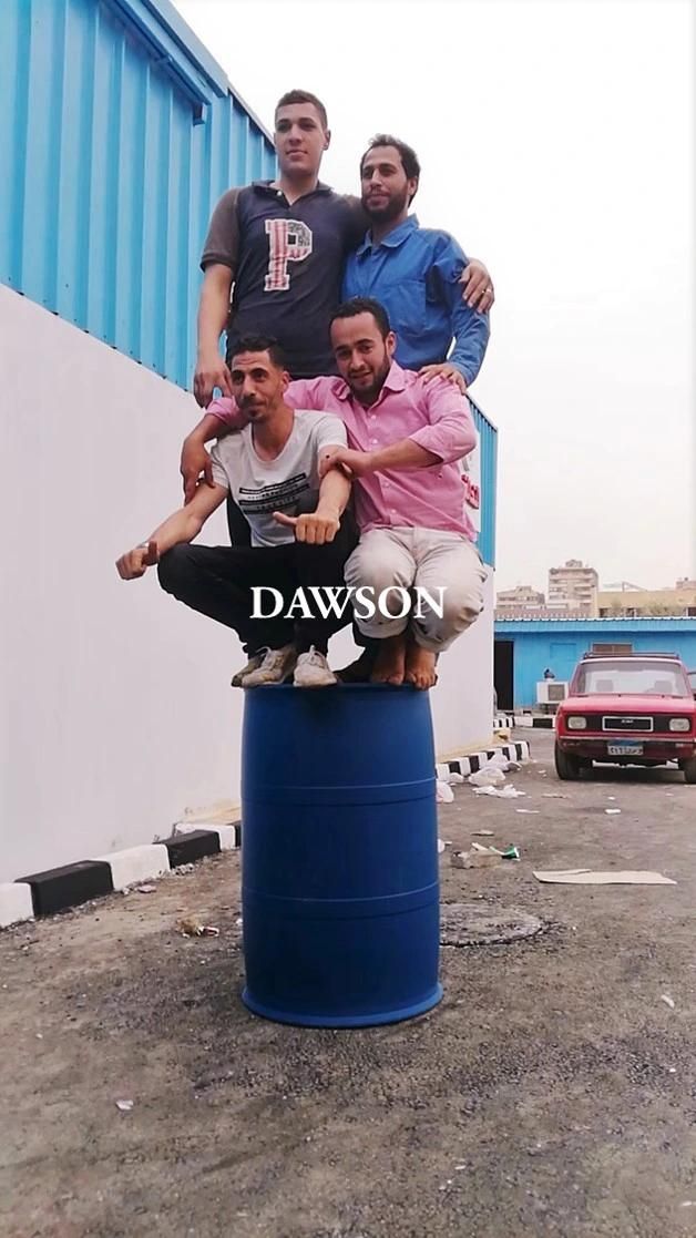 Accumulation Type Blow Molding Machine for 250L HDPE Chemical Drum