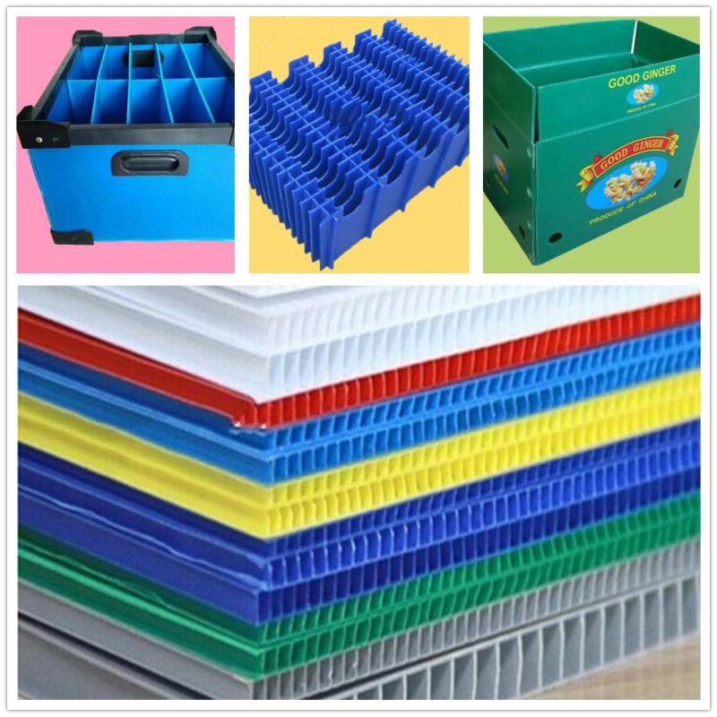 Plastic PP Hollow Corrugated Sheet Machine PP Plastic Box Machine