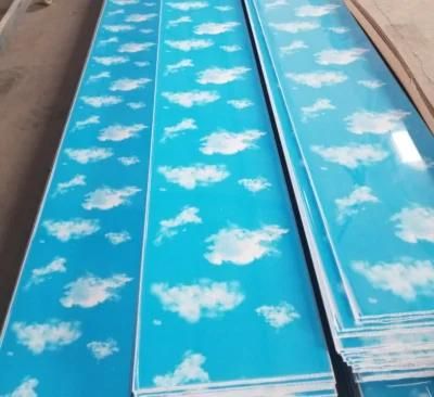 100mm and 250mm PVC Wall and Ceiling Panel Making Machine/ Extrusion Line