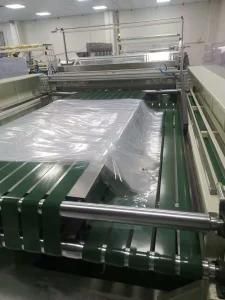 Film PEVA Shower Curtain Machine