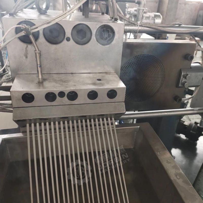 Palletizing Extrusion with Double Screw Compound Filler