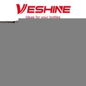 Full Automatic Pet Summer Drink Bottle Blowing Machine