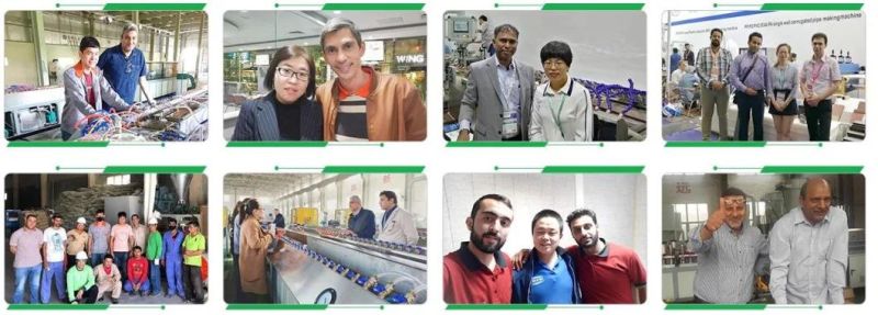 PP Corrugated Hollow Sheet Board Extrusion Machine Be Used in Making Plastic Fruit Seafood Carton Corrugated Box
