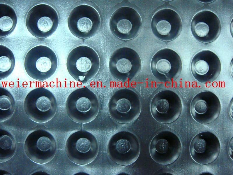 Geomembrane HDPE Drainage Sheet Production Line