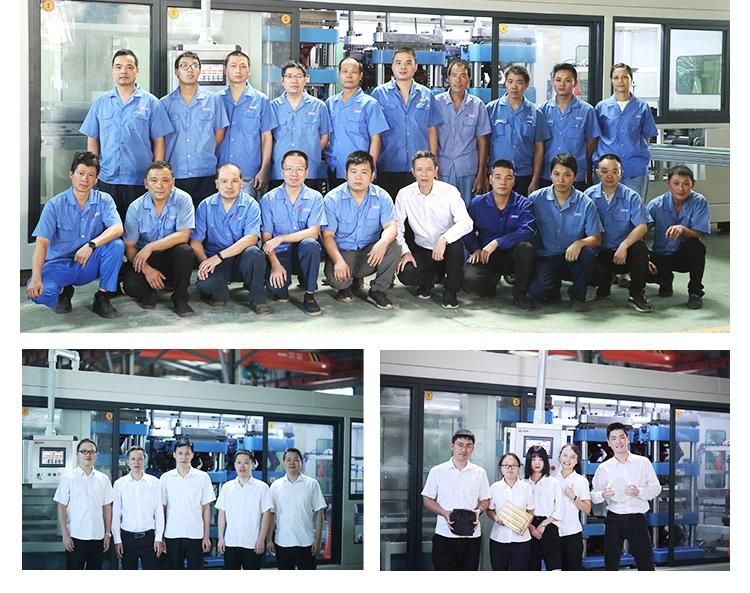 Advanced EPE Foam Sheet Making Machine/Extrusion Line for Blister Packaging Stationery Printing Fruit Tray