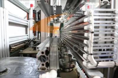 5L Oil Pet Bottle Blow Molding Machine Price in China