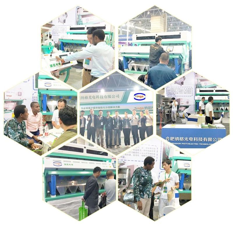 New Model CCD Conveyor Type Color Sorter Machine Color Selection