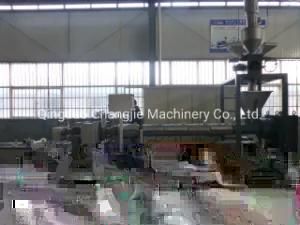 Pet Strapping Belt Machine with Ce Certification