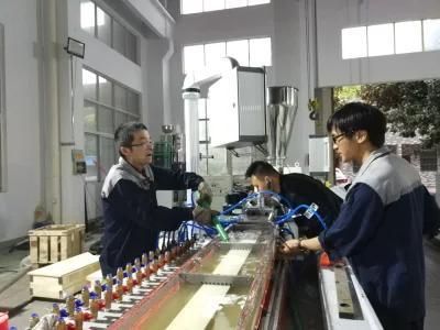 Plastic Profile Production Machine Widely Used in Building &amp; Decoration Industry