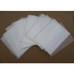 Home Establish Biodegradale Pet PLA Sheet Twin Screw Plastic Extruder Extrusion Machine