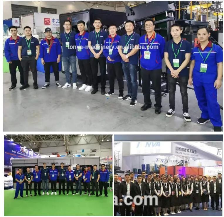 Plastic Mannequin Men Model Making on Accumulator Type Large Size Blow Molding Machine