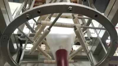 High Quality and Speed T-Shirt Bag Film Blowing Machine for HDPE
