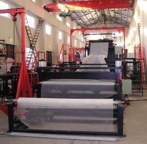 Plastic Geonet Machine/ Production Line (DSY-TGW)