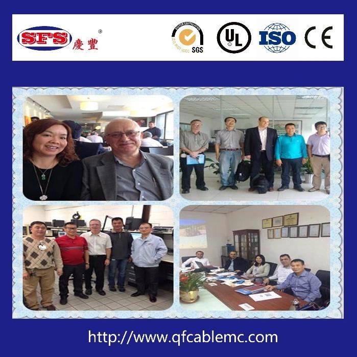 High Quality and High Temperature Teflon Extruder for Wire and Cable