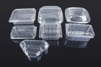 Hottest Disposable Food Container Plastic Thermoforming Machine