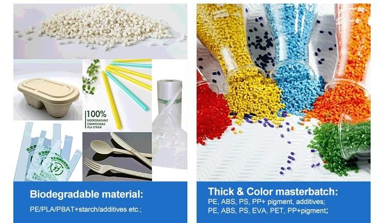 Plastic Material Recycling Extruder for Pet/PP/ABS