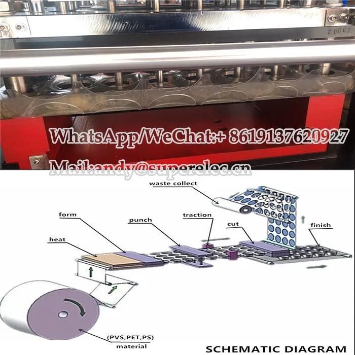 Plastic Cup Lid Making Machine Cup Lid Machine Plastic Thermoforming Machine for Lid