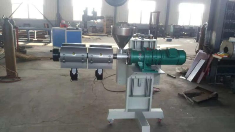Sj-25 Small Plastic Extruder Film Extruder Mini Plastic Extruder Price