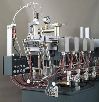 Cost of Twin Screw Plastic Bottle Recycling Plant for Pet